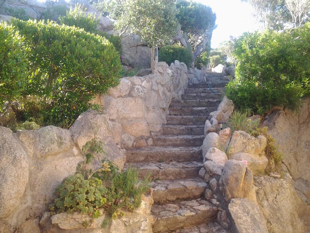 לינה וארוחת בוקר לה מדלנה La Fonte Dell'Ulivo 3 מראה חיצוני תמונה