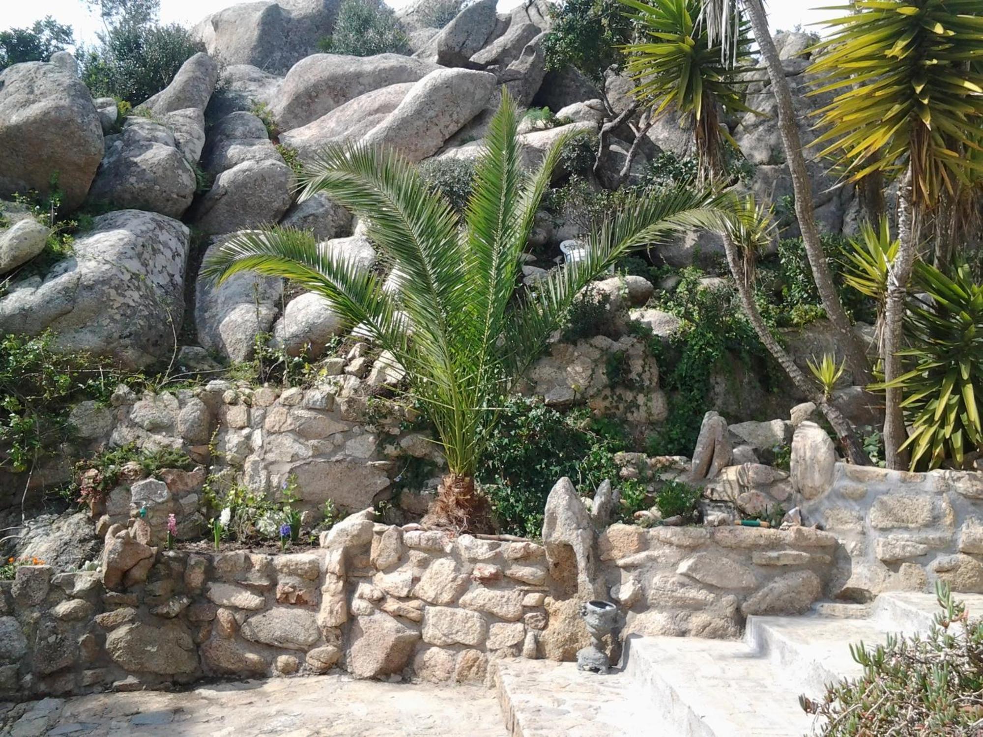 לינה וארוחת בוקר לה מדלנה La Fonte Dell'Ulivo 3 מראה חיצוני תמונה