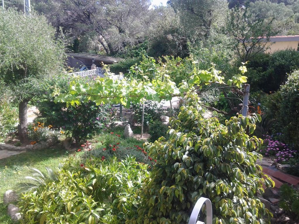 לינה וארוחת בוקר לה מדלנה La Fonte Dell'Ulivo 3 מראה חיצוני תמונה