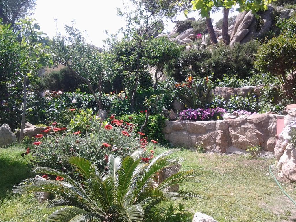 לינה וארוחת בוקר לה מדלנה La Fonte Dell'Ulivo 3 מראה חיצוני תמונה